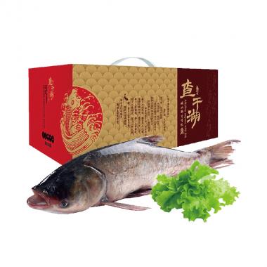 查干湖-貮号胖头鱼